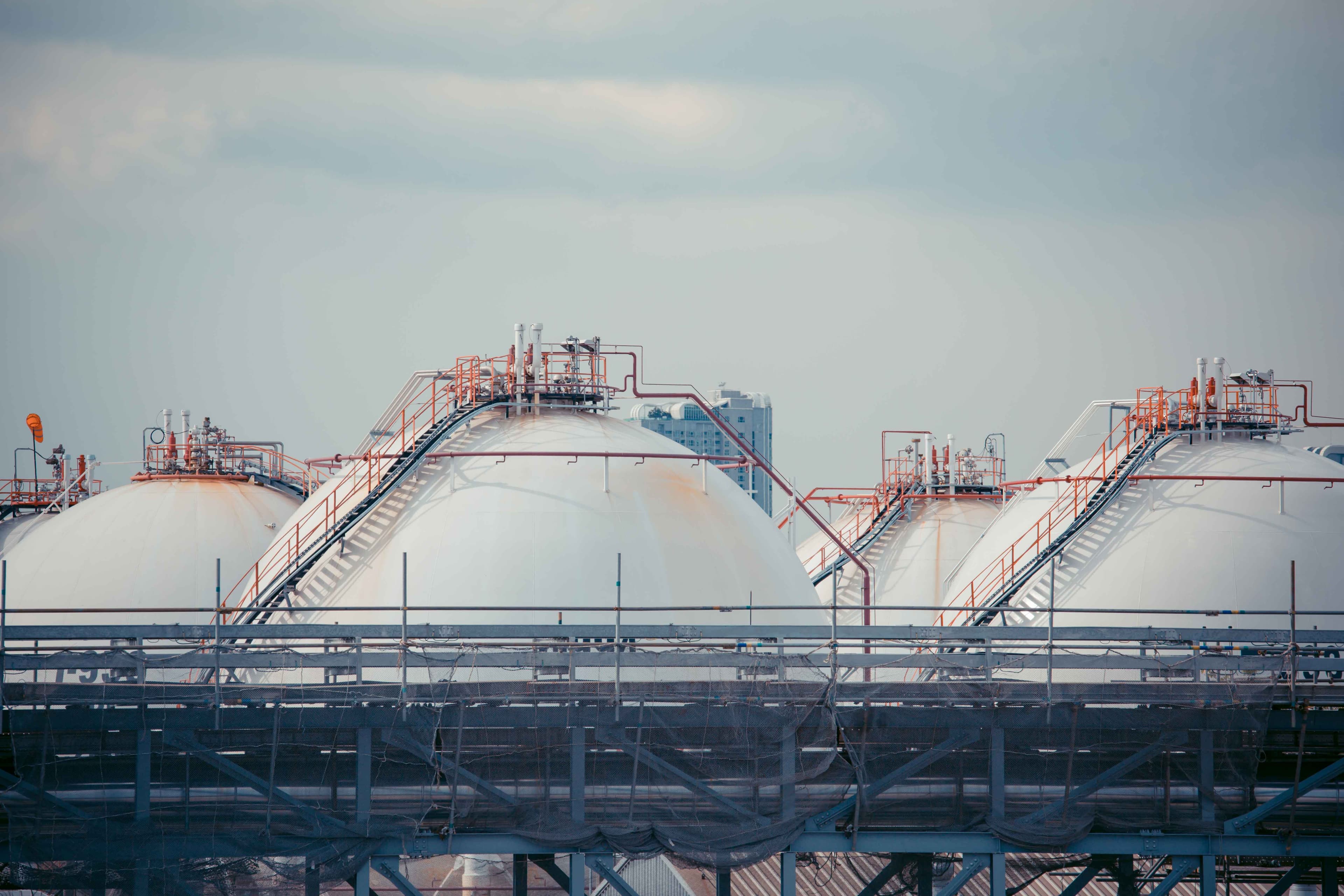 Pest Control & Sanitation